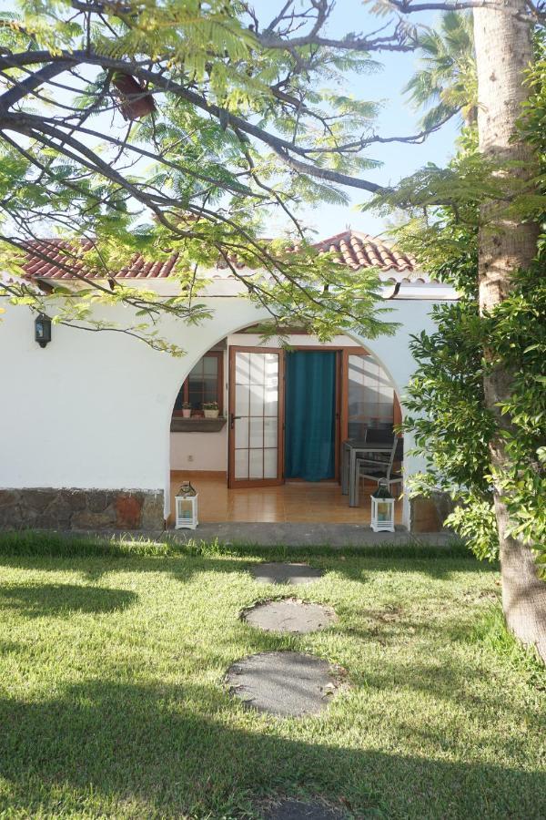Bungalow Luisy マスパロマス エクステリア 写真